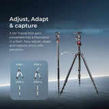 DIGITEK® (DTR 520 BH) 152CM Foldable Aluminum Tripod Cum Monopod with Swivel Pan Head, 4 Section Adjustment, 7kg Max Load, Max Operating Height: 4.95Ft, Compatible with DSLR Camera, Dv Video Camcorder