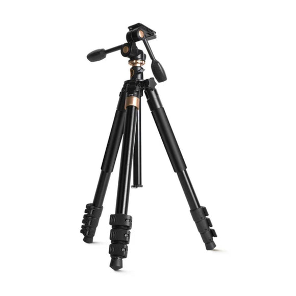 Digitek DTR 620 BH Professional Multiangle DV Tripod Cum Monopod