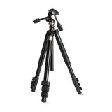 Digitek DTR 620 BH Professional Multiangle DV Tripod Cum Monopod