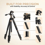 Digitek DTR 620 BH Professional Multiangle DV Tripod Cum Monopod