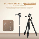 Digitek DTR 620 BH Professional Multiangle DV Tripod Cum Monopod