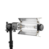 Digitek (DPL 003) Porta Light with 1000 Watt Halogen Tube | for Video & Still Photography