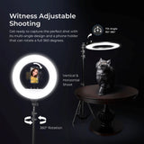 Digitek (DRL 18RT C6) Professional 46cm LED Ring Light with Remote & 158cm Light Stand, Runs on AC Power with No Shadow apertures, Ideal use for Makeup, Video Shoot, Fashion Photography & Many More
