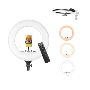 Digitek (DRL 18RT) Profesional (46cm) LED Ring Light with Remote Control, Runs on AC Power with No Shadow apertures, Ideal use for Makeup Artist, Video Shoot, Fashion Photography & Many More