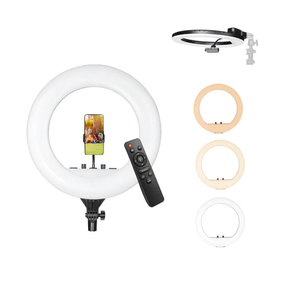 Digitek (DRL 18RT) Profesional (46cm) LED Ring Light with Remote Control, Runs on AC Power with No Shadow apertures, Ideal use for Makeup Artist, Video Shoot, Fashion Photography & Many More