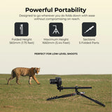 Digitek (DTR 530 BH) Multi-Angle DV Tripod cum Monopod with Ball Head, Quick Release, 5-Section Legs, 5kg Load, 5.44ft Max Height, Ideal for Macro, Panning & Low Angle Photo & Videography