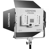 Godox Brand Photography Continuous Light LP600BI