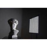 Godox FL100 Flexible Continuous Light 40 x 60cm