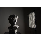 Godox FL60 Flexible Continuous Light 30 x 45cm