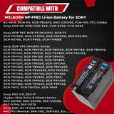 Welborn NP F980 Digital Camera Battery