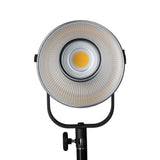 Nanlite Forza 200 LED Monolight